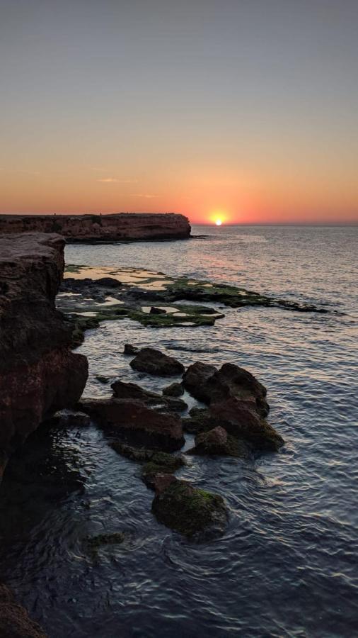 100 Mt Playa De Los Locos Torrevieja Exteriör bild